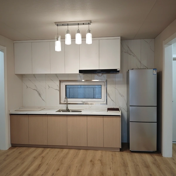 现代轻钢奶奶房