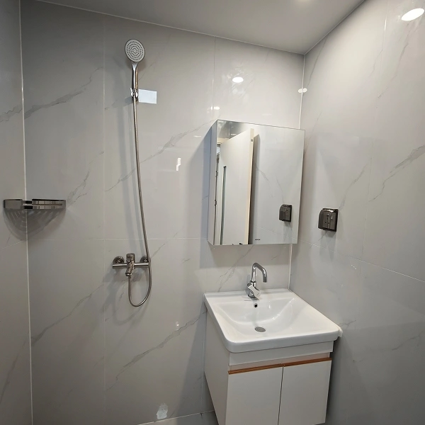 现代轻钢奶奶房