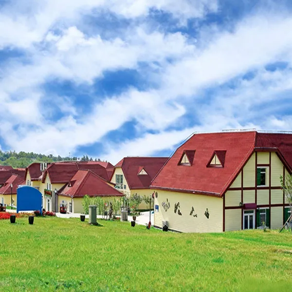 青岛啤酒节项目