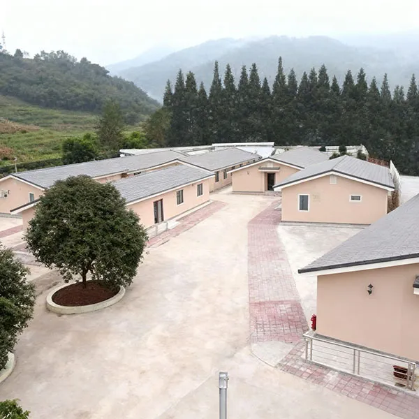 雅安抗震救灾敬老院